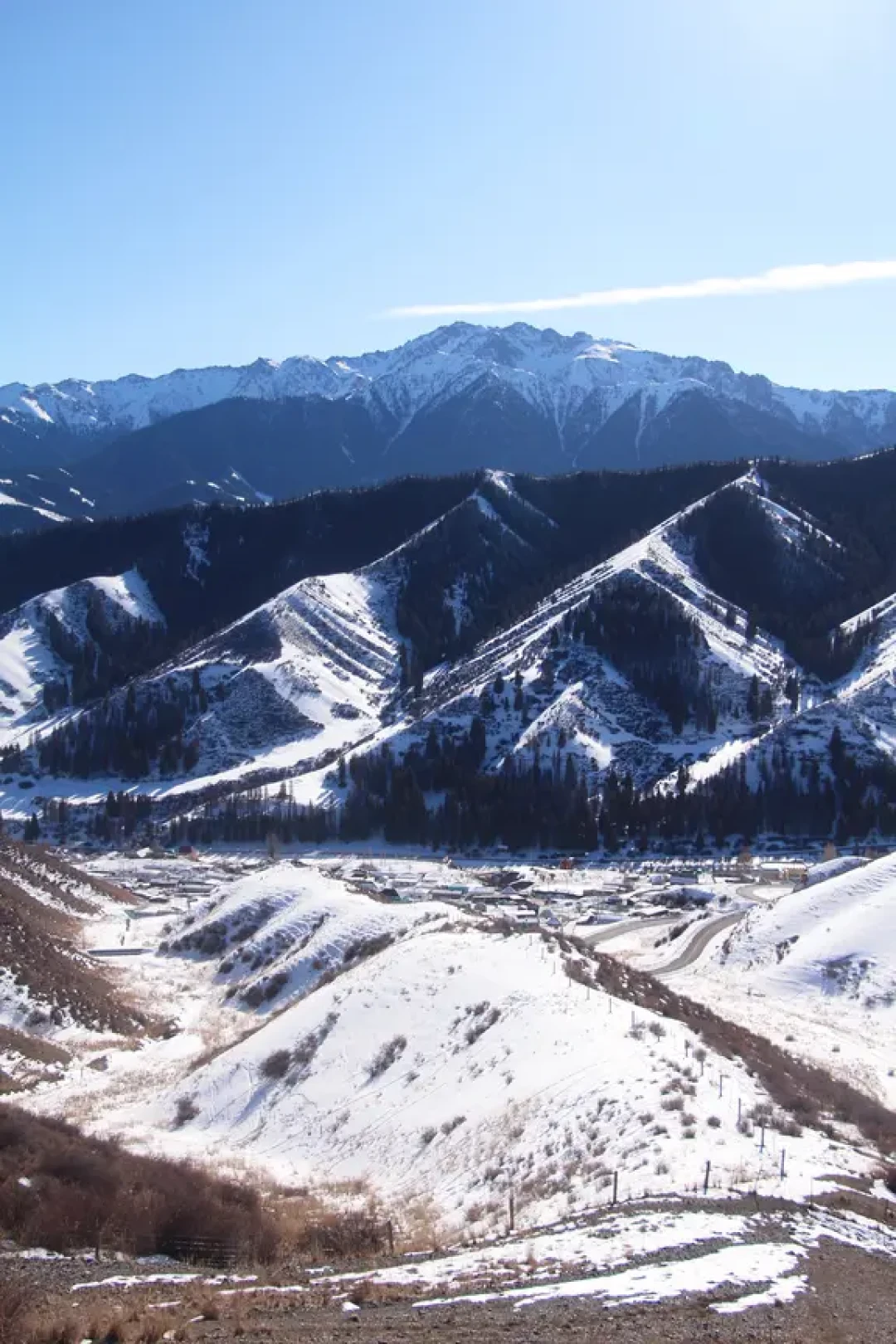 乌市1H放空🚗南山牧场是微缩的伊犁啊🌲