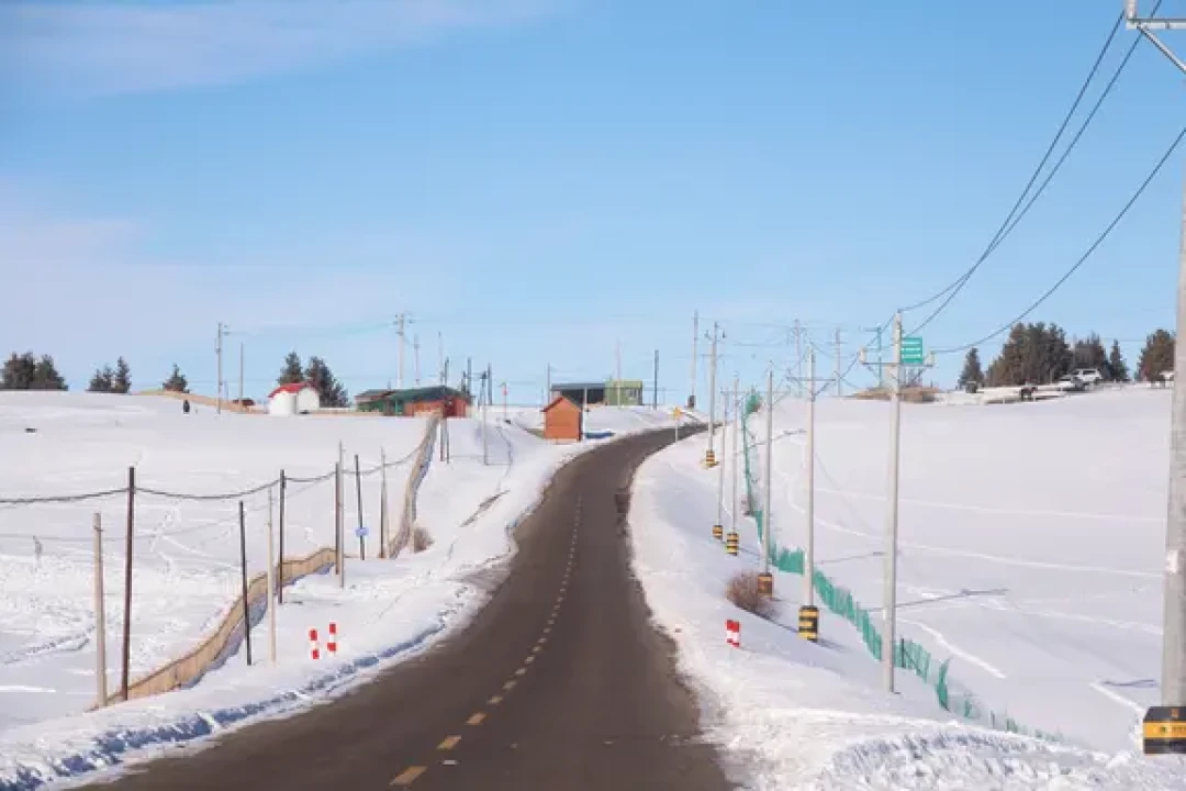 乌市1H放空🚗南山牧场是微缩的伊犁啊🌲