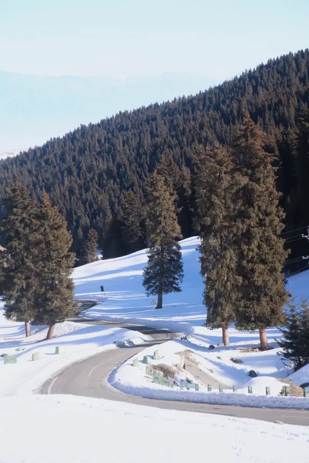 乌市1H放空🚗南山牧场是微缩的伊犁啊🌲