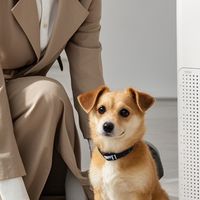 除甲醛空气净化器哪个牌子最好，高效除醛机型优选指南