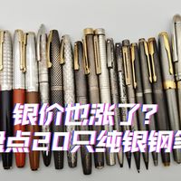 银价暴涨？盘点一下我的20只纯银钢笔【杂谈】