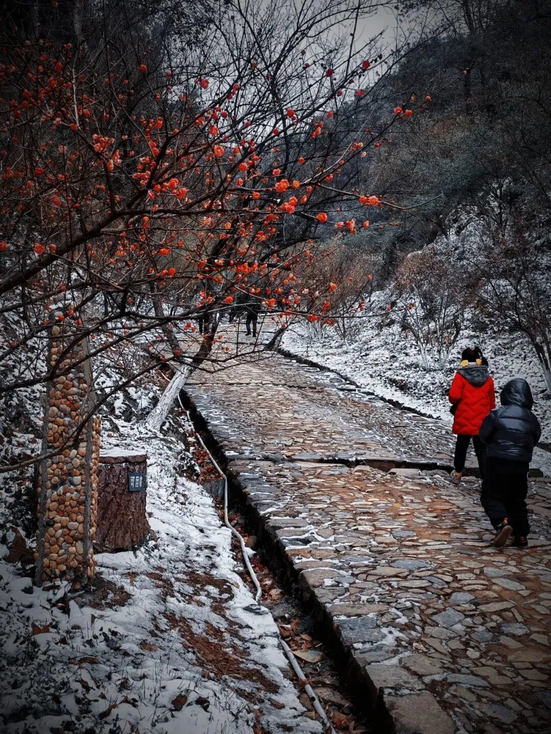 美如仙境!韶关这个地方迎来今年首场冰挂雾凇景观,秋冬来旅行,赏雪泡泉看红枫为你安排好了
