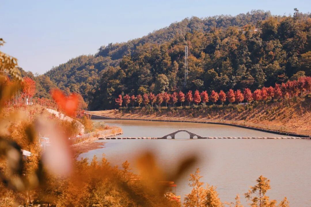 美如仙境!韶关这个地方迎来今年首场冰挂雾凇景观,秋冬来旅行,赏雪泡泉看红枫为你安排好了
