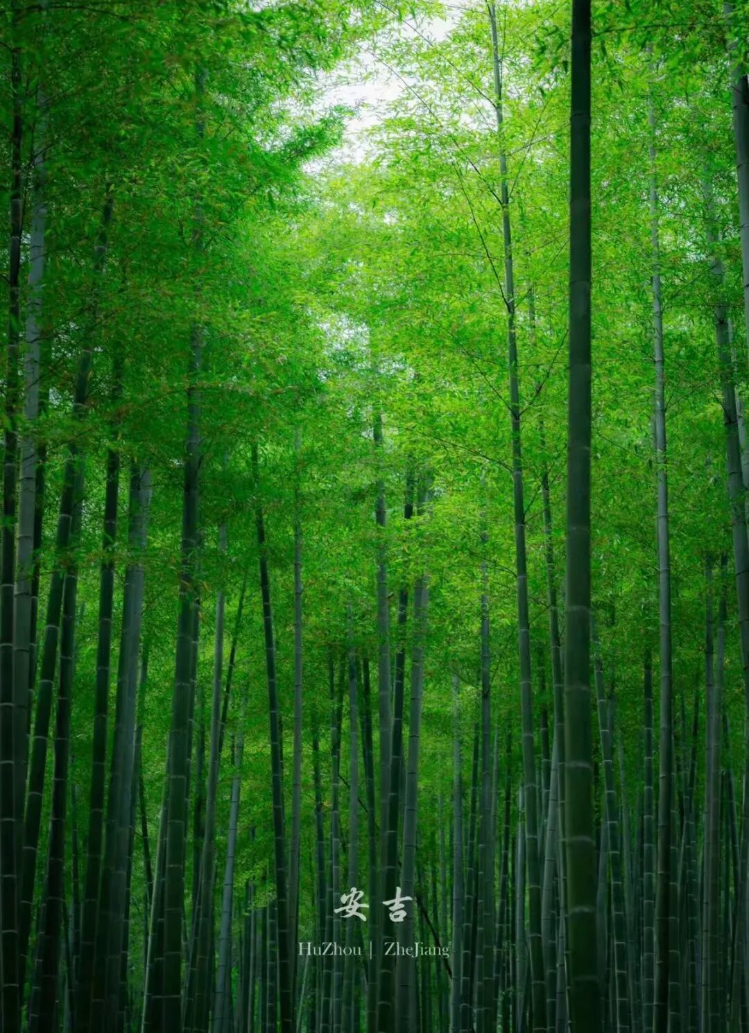 古韵今潮,解锁湖州AB面