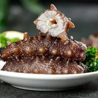 藏在冬日餐桌里的滋养，海参的家常吃法与门道