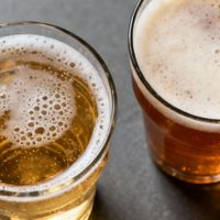 工业精酿 vs 独立精酿：别只看“全麦芽”，发醇周期和原料纯度才是真分水岭