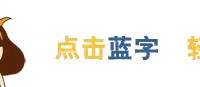 教你二胡选购经验五准则