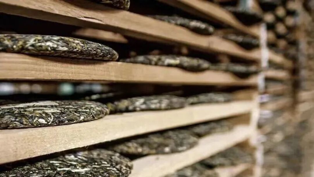 被误用的时间:重新理解普洱茶的陈化逻辑