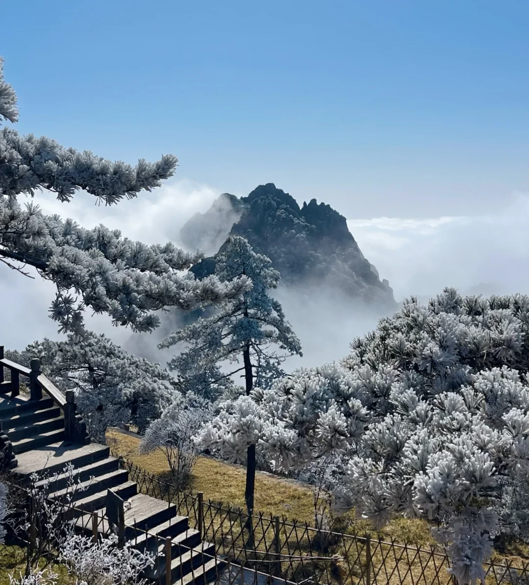 来皖一学期啦,打卡一下黄山🏔️(懒人版)