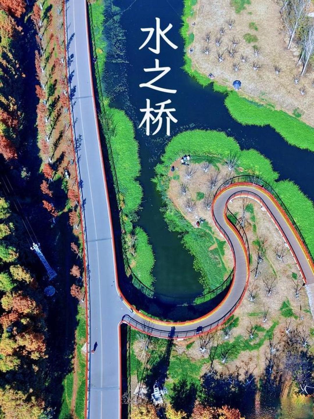 昆明6条最美骑行路线来啦