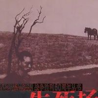 关注 | 萧红和她的文学世界