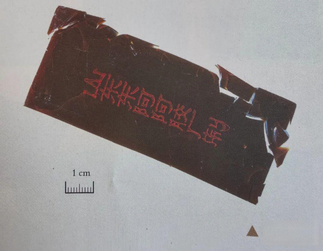 中药人掏心窝:阿胶、鹿角胶、龟甲胶真假鉴别!别再花冤枉钱吃“假胶”!