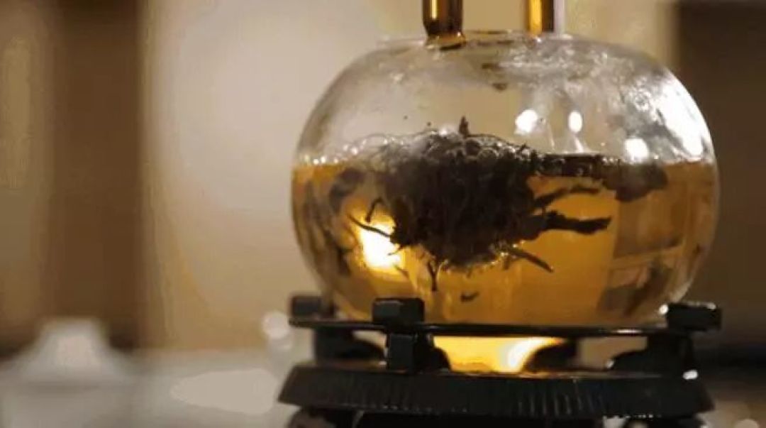 黑茶怎么煮?大多数人都没煮对