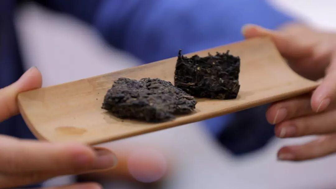 黑茶怎么煮?大多数人都没煮对