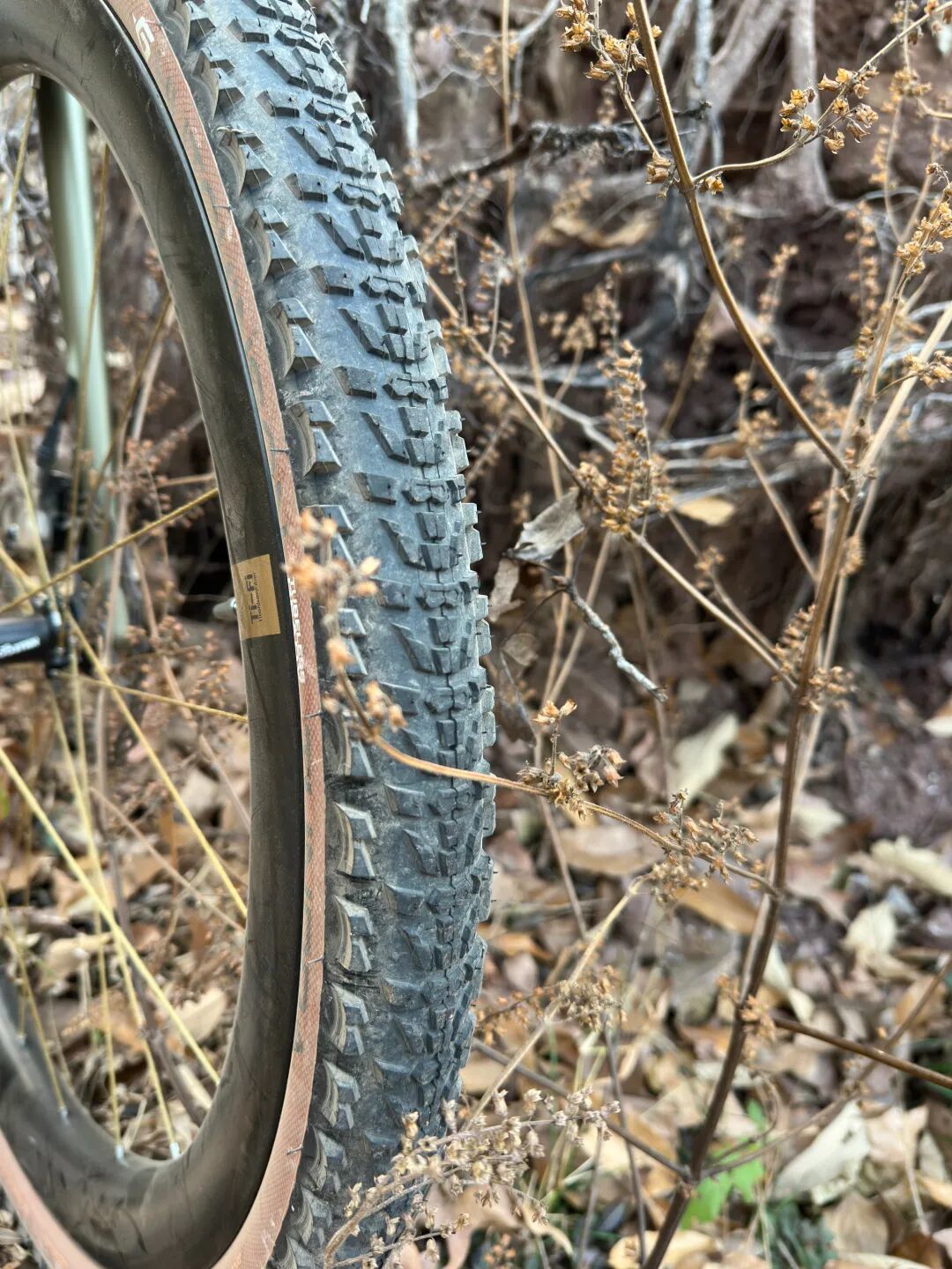 绳辐条轮组改变Gravel,GOOSYNN Ti-Fi G45评测