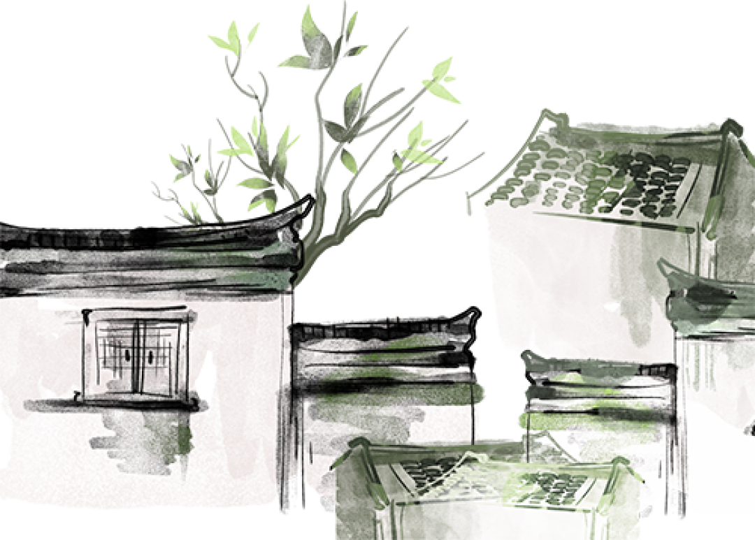 青诉心声 | 失衡中的平衡