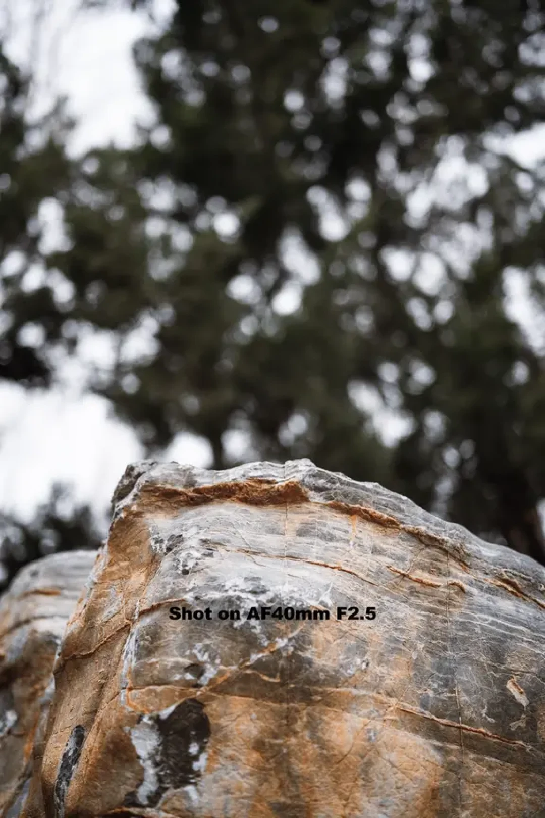 七工匠40mm F2.5,轻,但诚意十足!