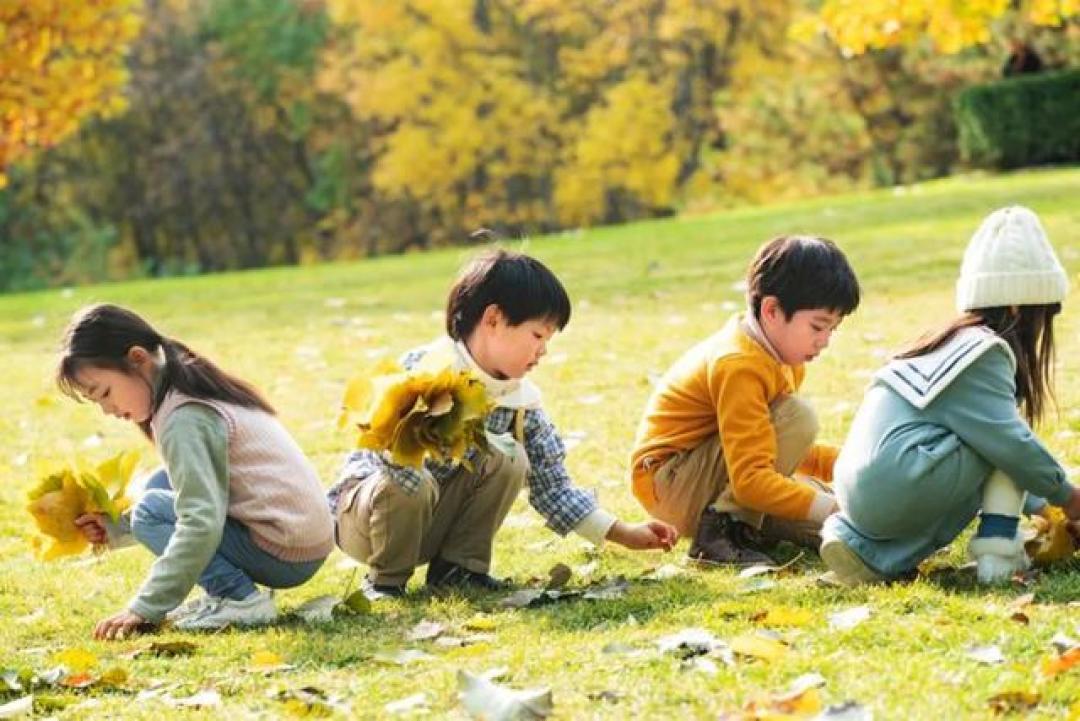抓住大脑黄金期!1-3岁这样启蒙,孩子聪明不止一点点