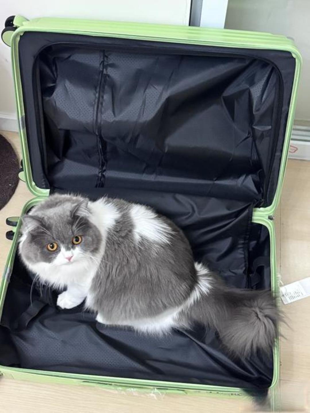 行李箱有必要买几千元的吗?