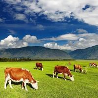 内蒙古没想到，辽宁也没想到，现在的通辽，怎么突然这么火了！