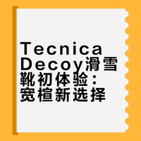 下个季度的tecnica decoy pro