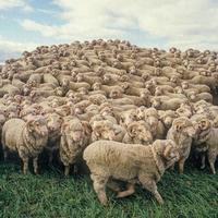 中产智商税，又割一波？