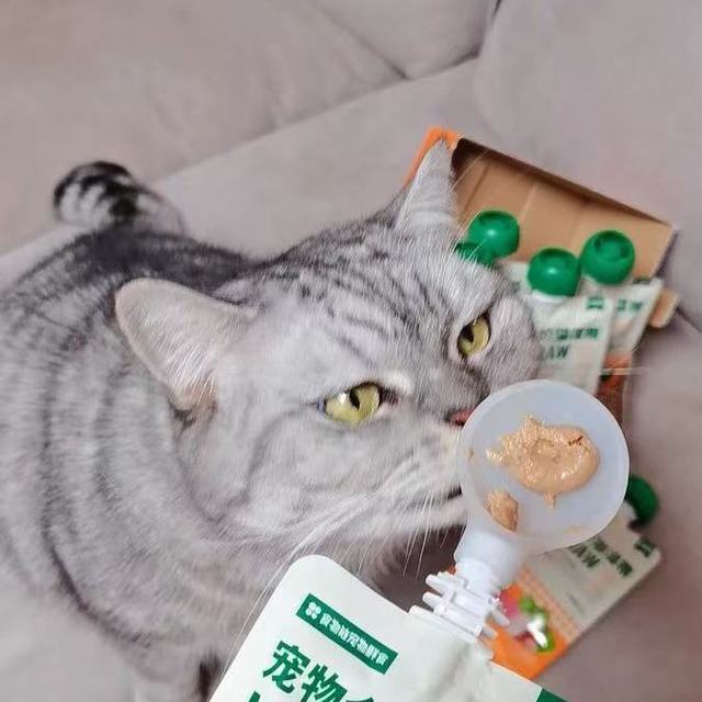食物链M90巴氏小仙包｜成猫主食湿粮天花板✨挑嘴猫必冲