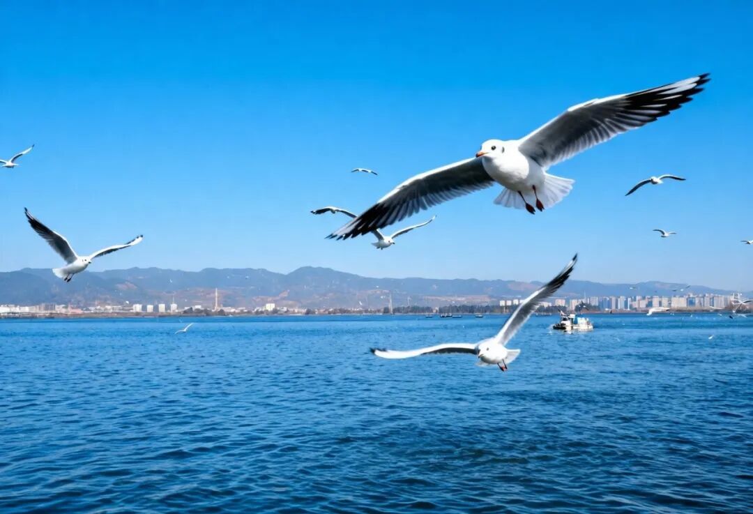 2~3月最佳旅行榜!这4条神级线路,才是春节的正确打开方式!