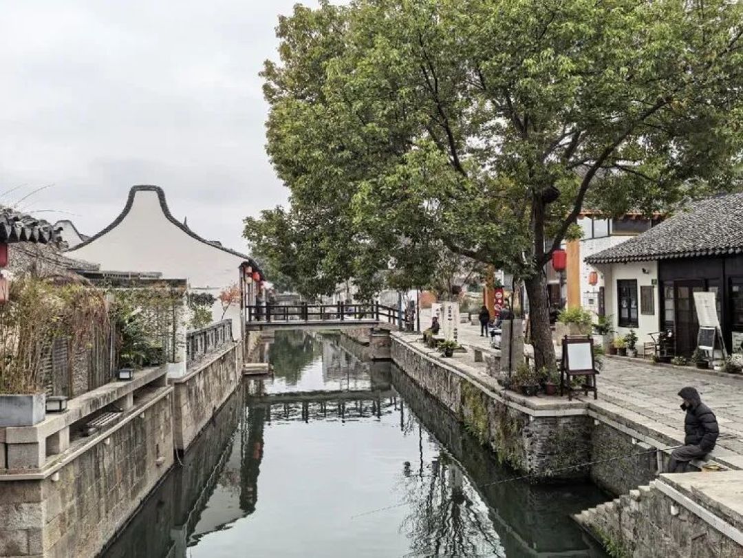探访新场古镇里的两家“一尺花园”