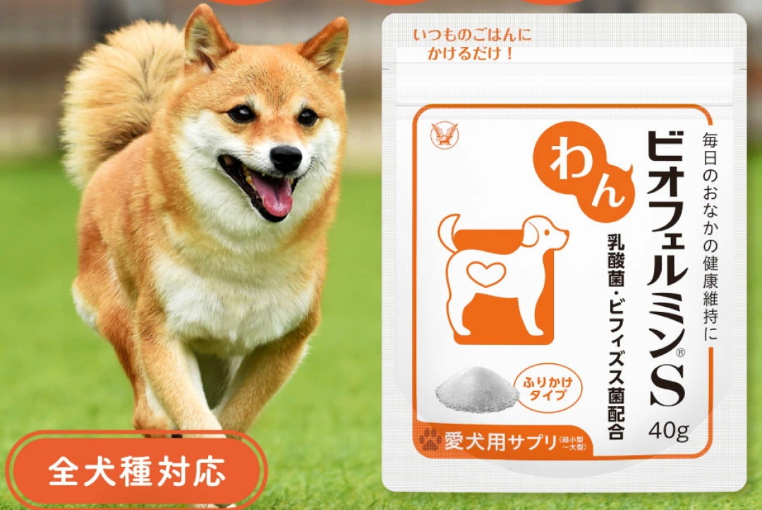 日本中国的宠物益生菌市场和产品参考汇总