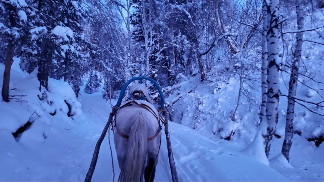 南方小土豆勇闯阿勒泰 | 保姆级雪地自驾8日游攻略