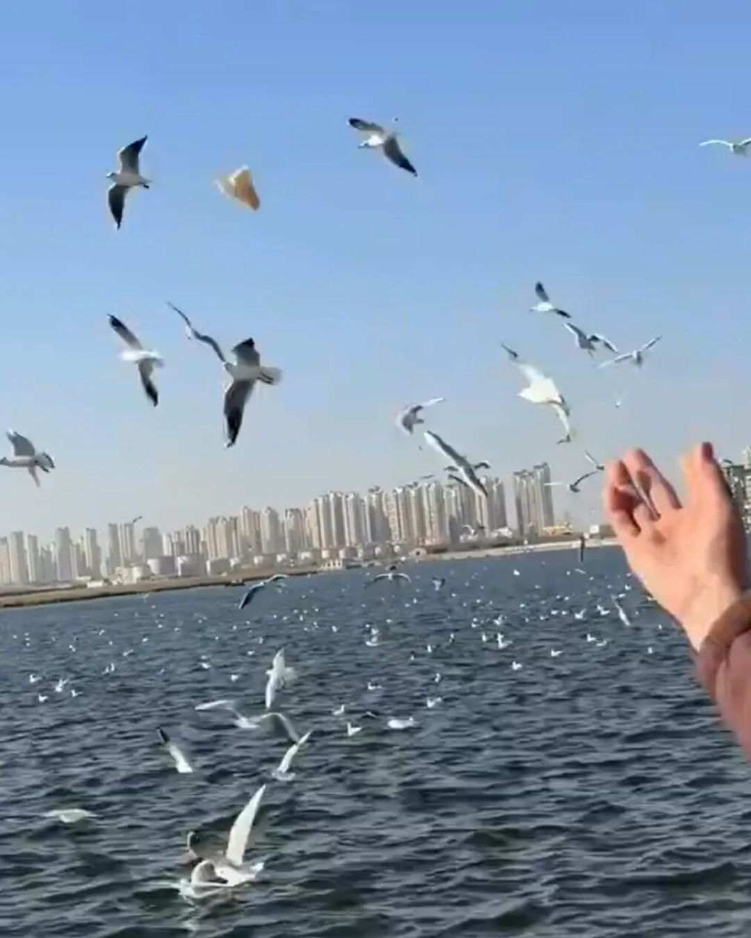 京郊最美自驾·宝藏海岸线
