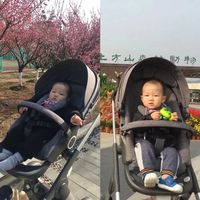 十年归队：那些重出江湖的带娃“老”物