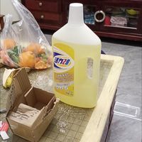 客厅绿植清洁技巧
