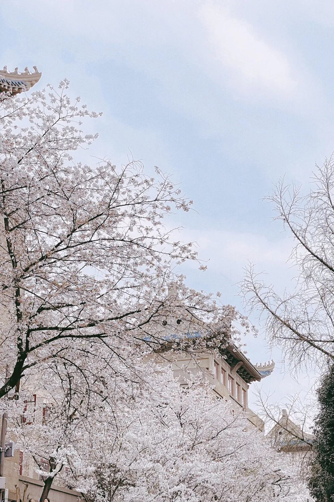 武汉好玩的十大景点