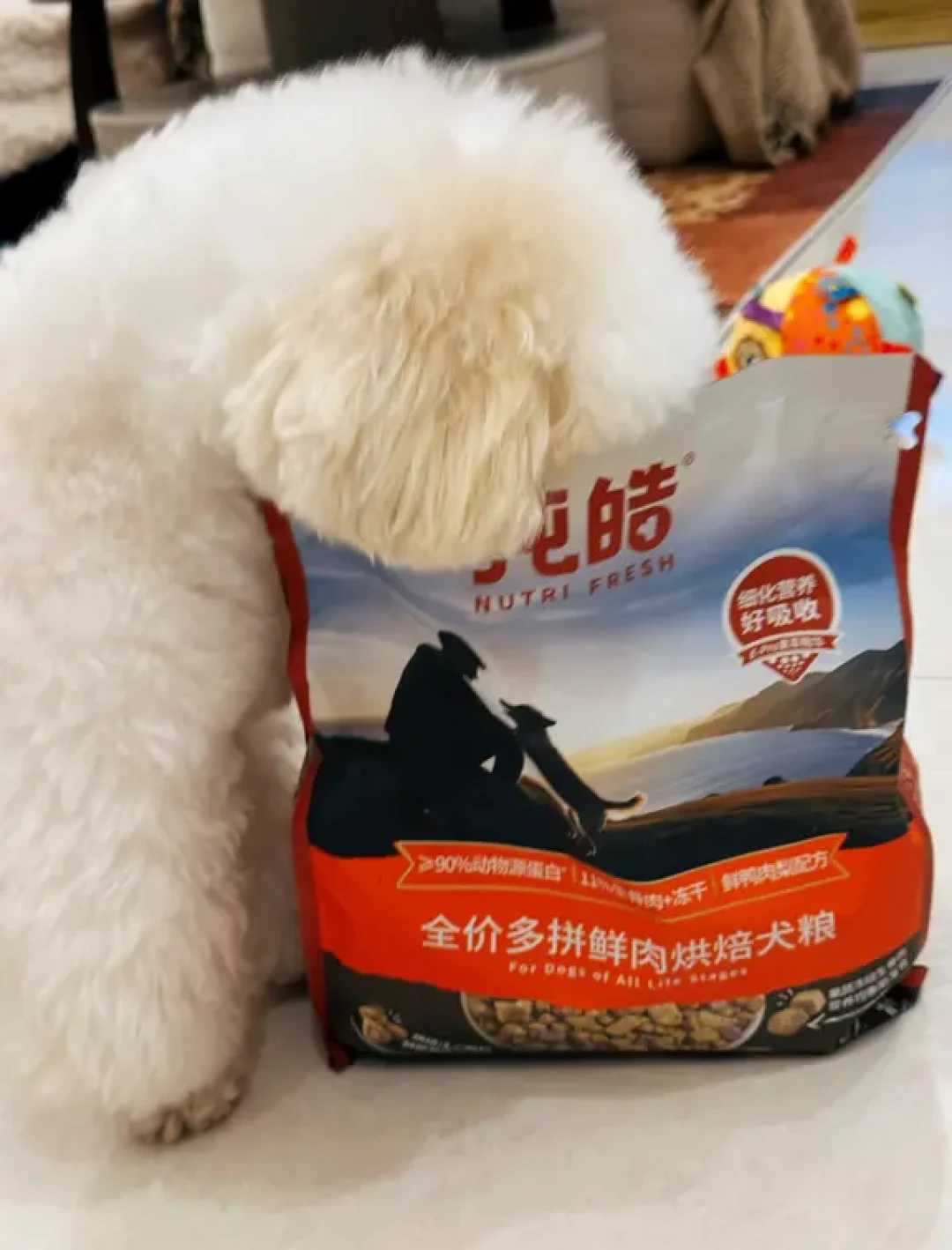 终于不用再和挑食小狗“斗智斗勇”了✨