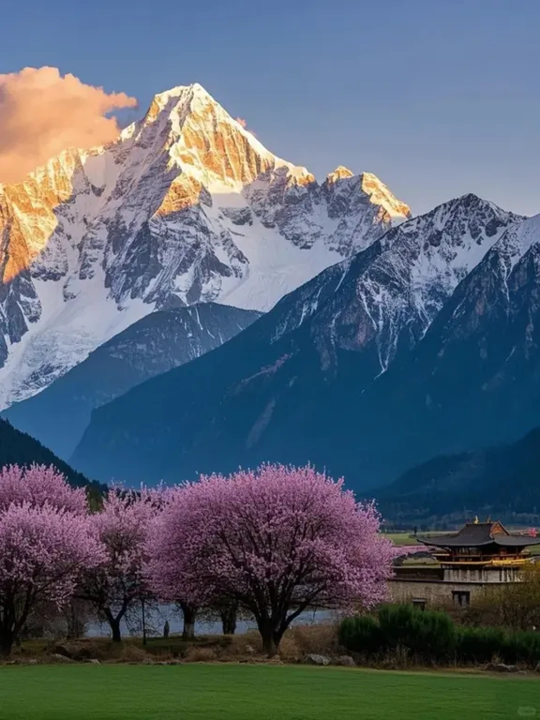 国家地理力推,林芝🌸高原写给春天的情书