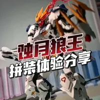 蚀月狼王拼装体验分享
安排大货版！
#高达模型 #拼装模型 #GK狼王 #胶佬 #蚀月文化