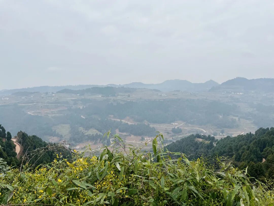 成都•龙泉山徒步|藏在山脊的野趣路线,亲子轻松走完,风景治愈