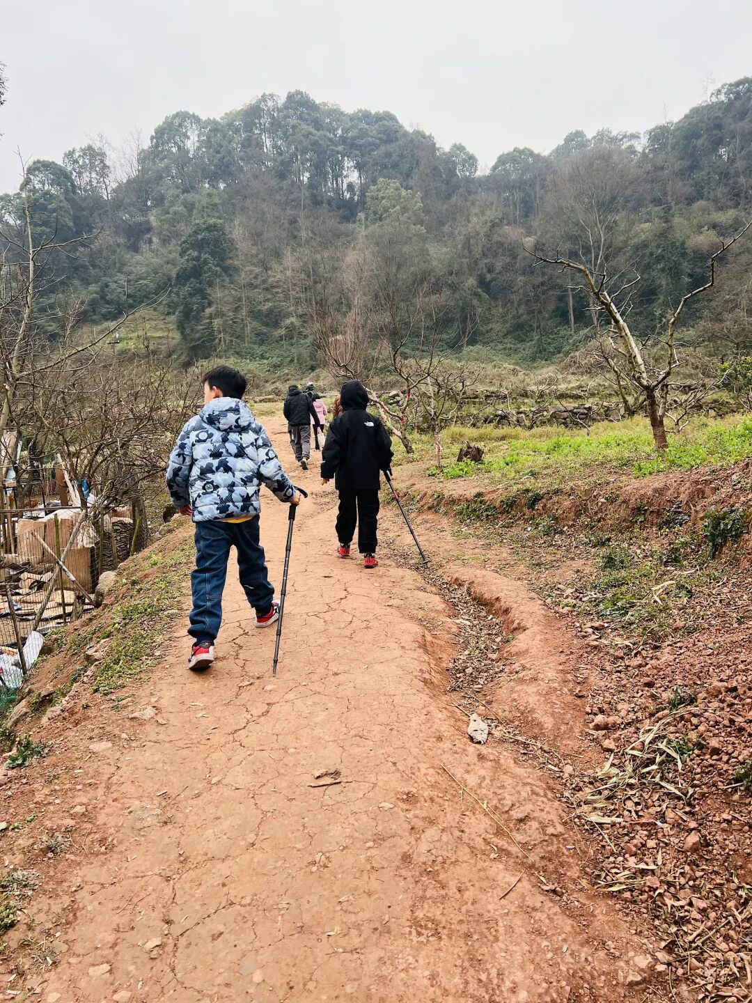 成都•龙泉山徒步|藏在山脊的野趣路线,亲子轻松走完,风景治愈