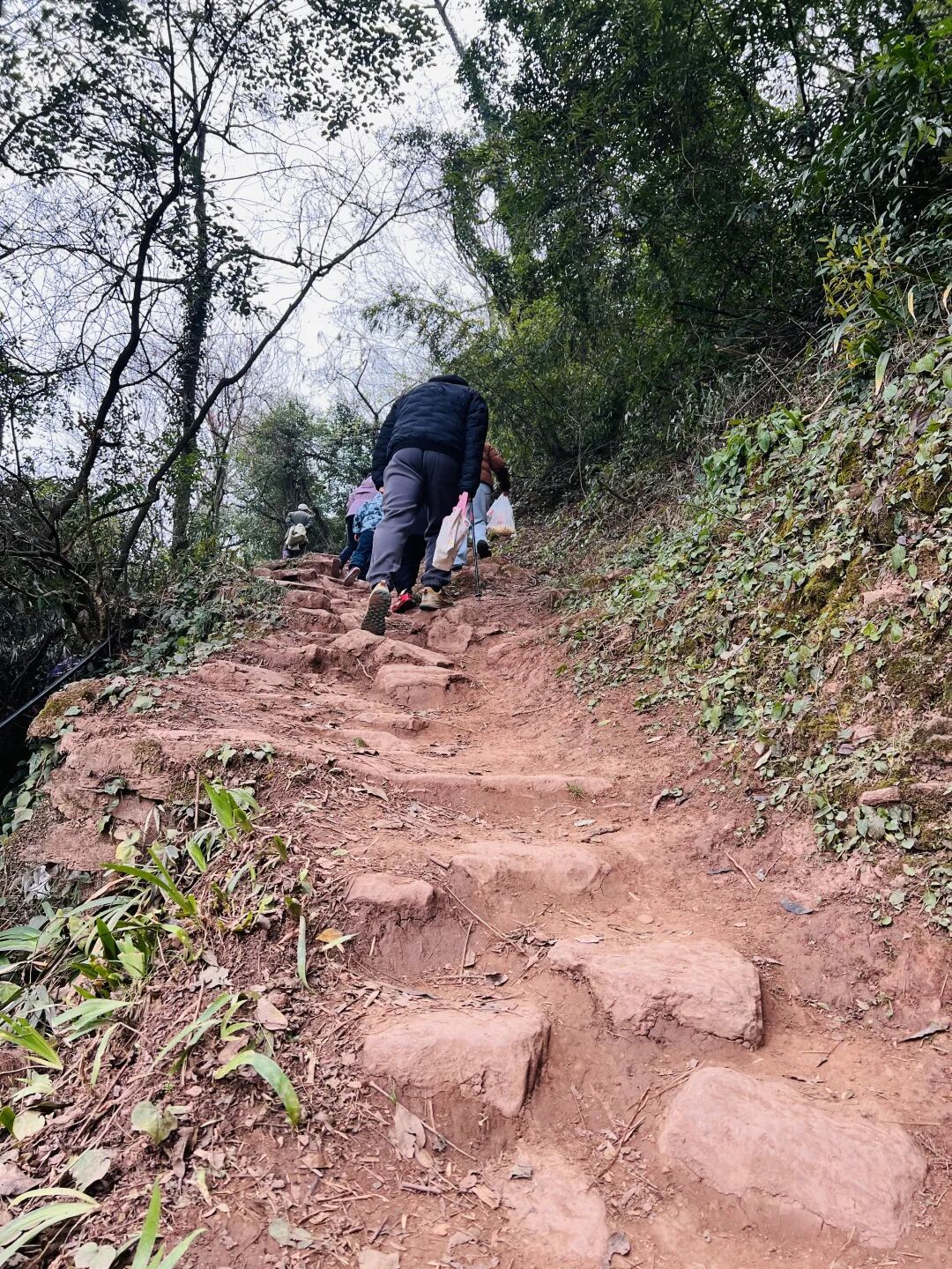 成都•龙泉山徒步|藏在山脊的野趣路线,亲子轻松走完,风景治愈