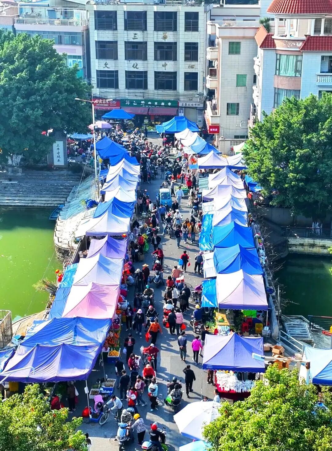 趁圩?除了桂城圩免费接驳线,还有这些出行方式——