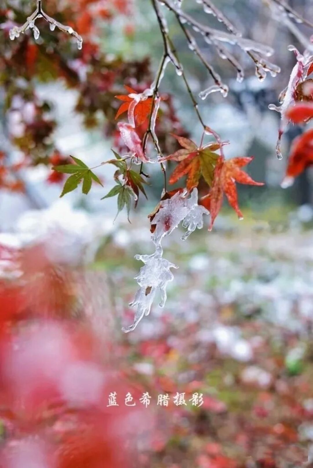 你要拍雪景,就不能只拍雪