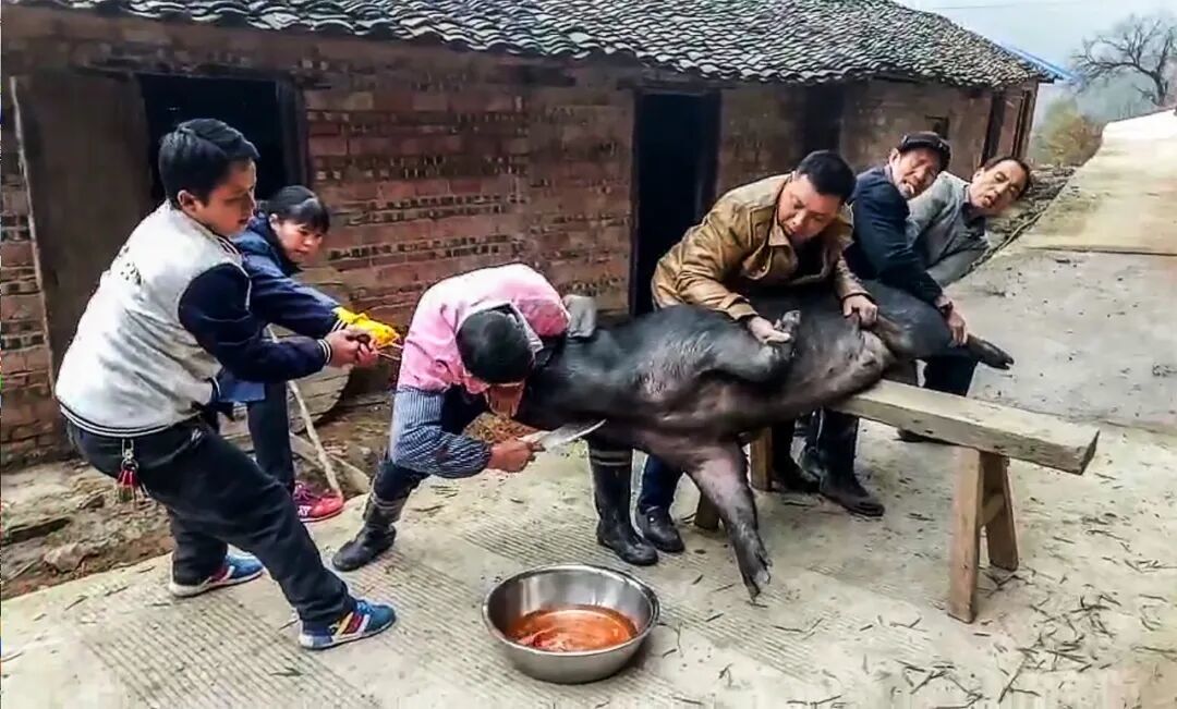 中国传统习俗(一)春节