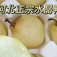 正宗水晶鸭梨