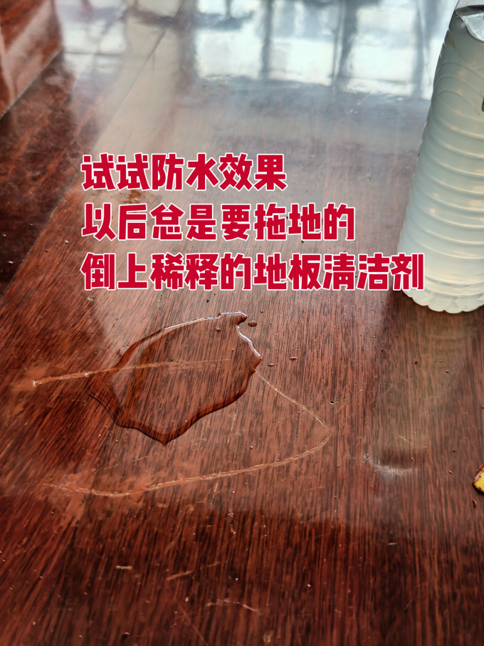 美术/书法