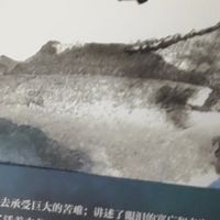 假期必读《活着》：于苦难中探寻生命之光