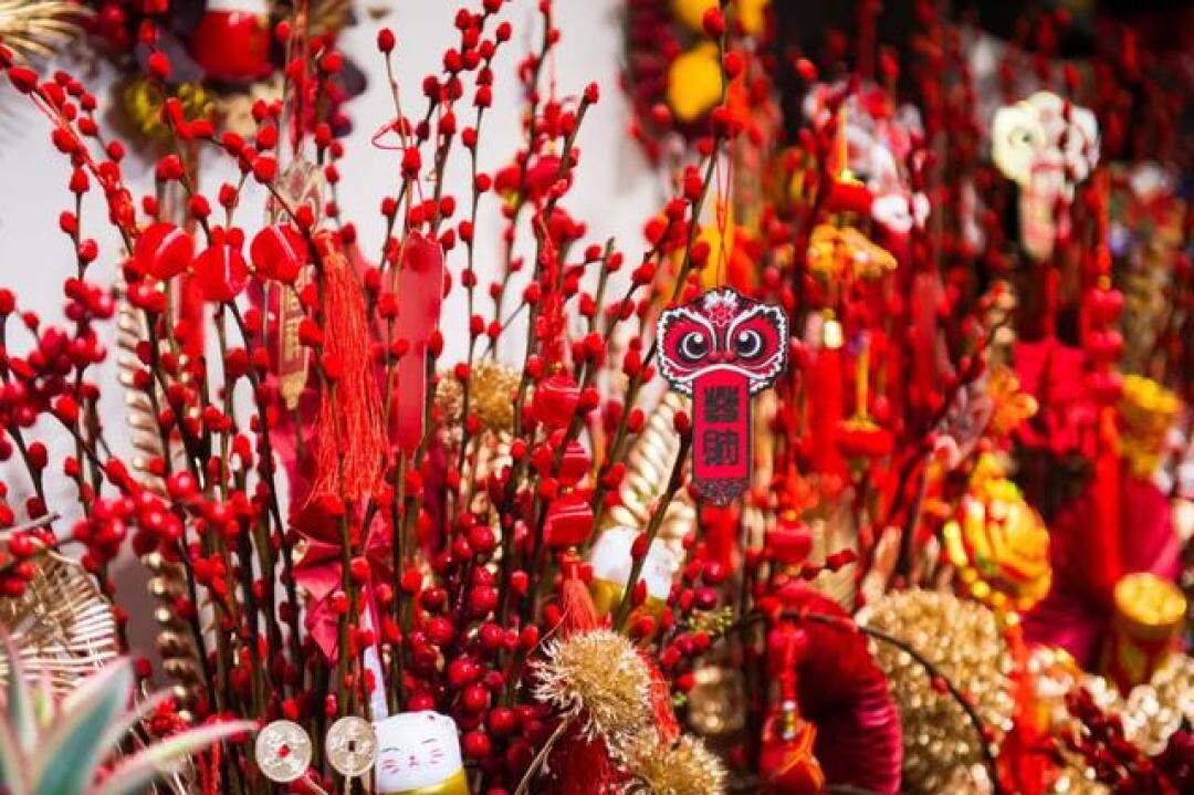 成都7个买年宵花的花卉批发市场推荐!附近期活动→