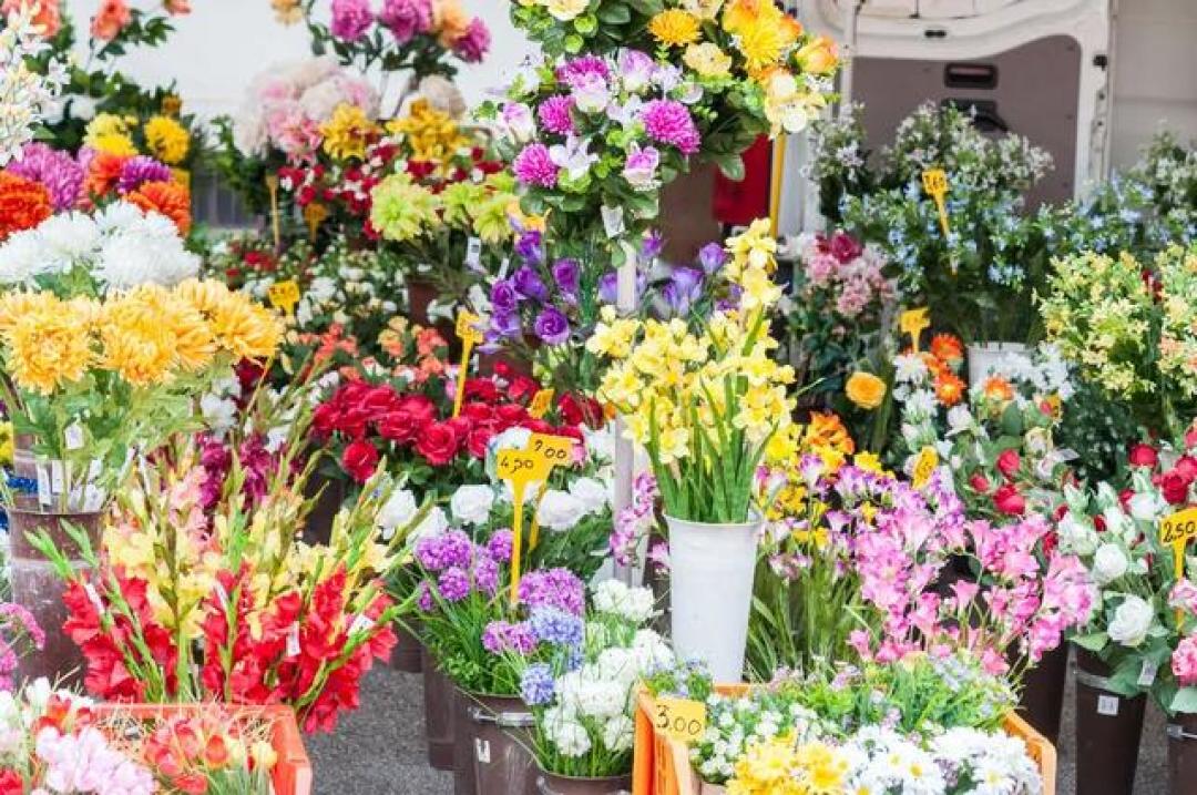 成都7个买年宵花的花卉批发市场推荐!附近期活动→