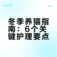 ⚠️冬天猫咪最害怕的6件事，铲屎官千万要记住